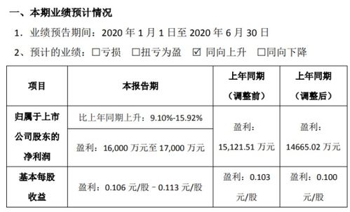 露笑科技2020年上半年业绩预增，光伏发电业务展现韧性